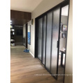 Mninimal Frame Soft Closing Glass Sliding Door